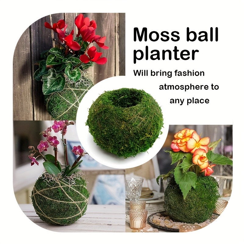 Artificial Moss Ball Planter,  - Sphagnum Moss Dry recension och pris