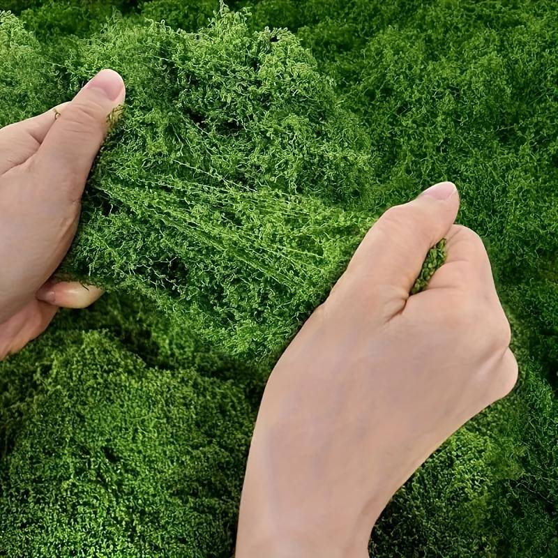 20' X 20' Faux Moss Mat for Pl - Sphagnum Moss Dry recension och pris