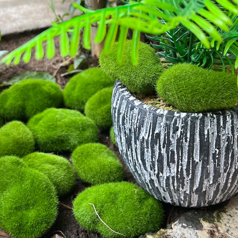 100/5PCS Artificial Moss Rock  - Sphagnum Moss Dry recension och pris