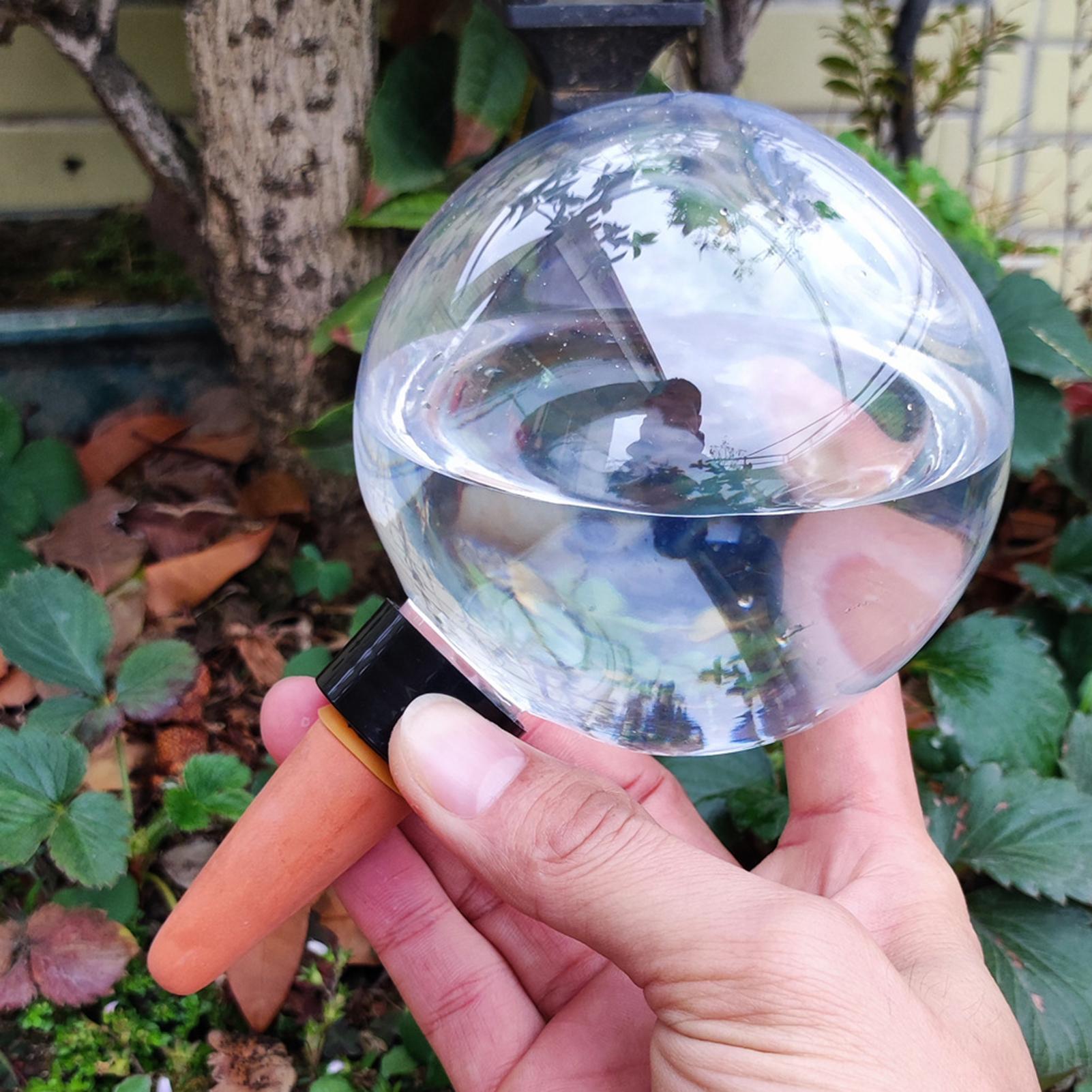 500ml Automatic Watering Globe - Self Watering Insert recension och pris