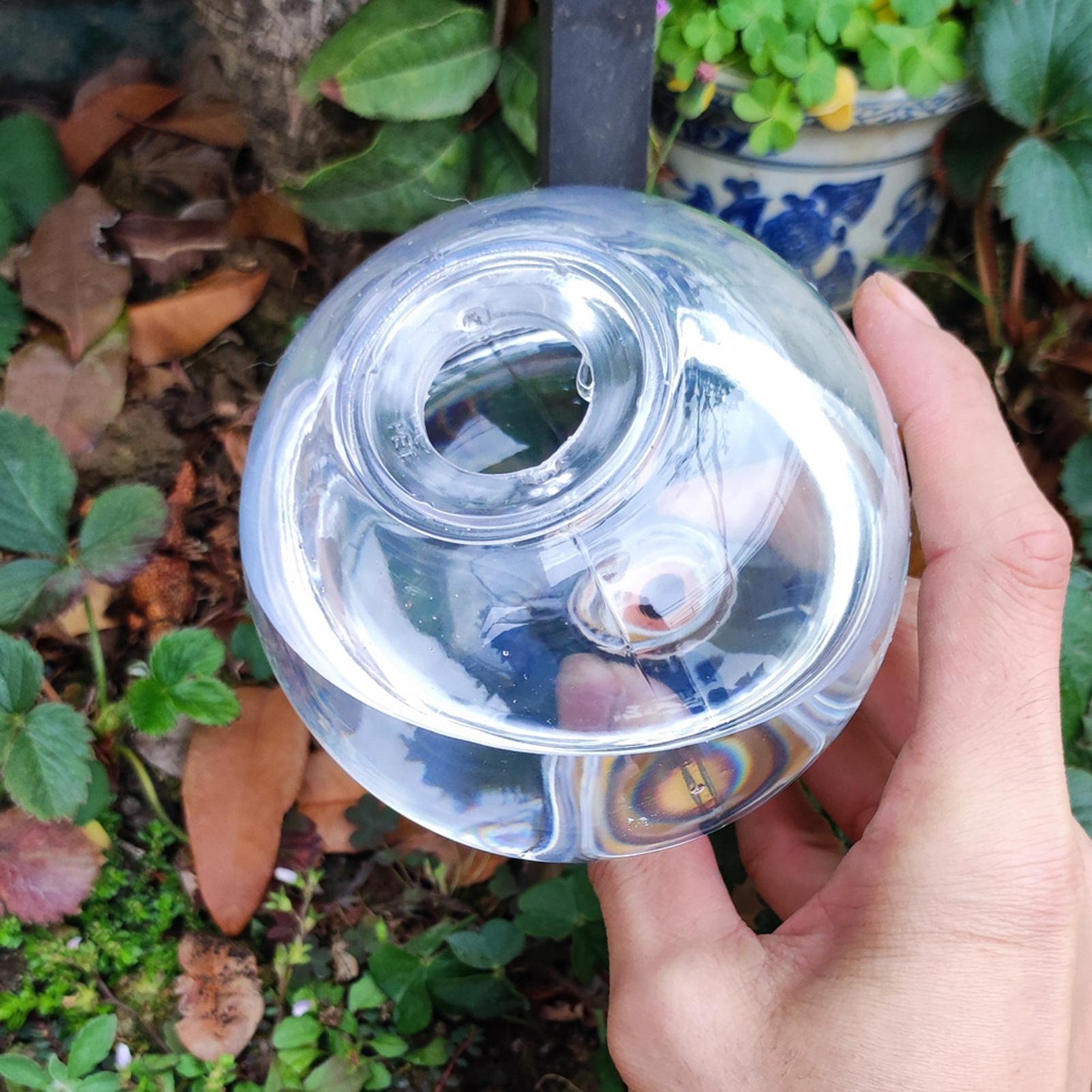 500ml Automatic Watering Globe - Self Watering Insert recension och pris