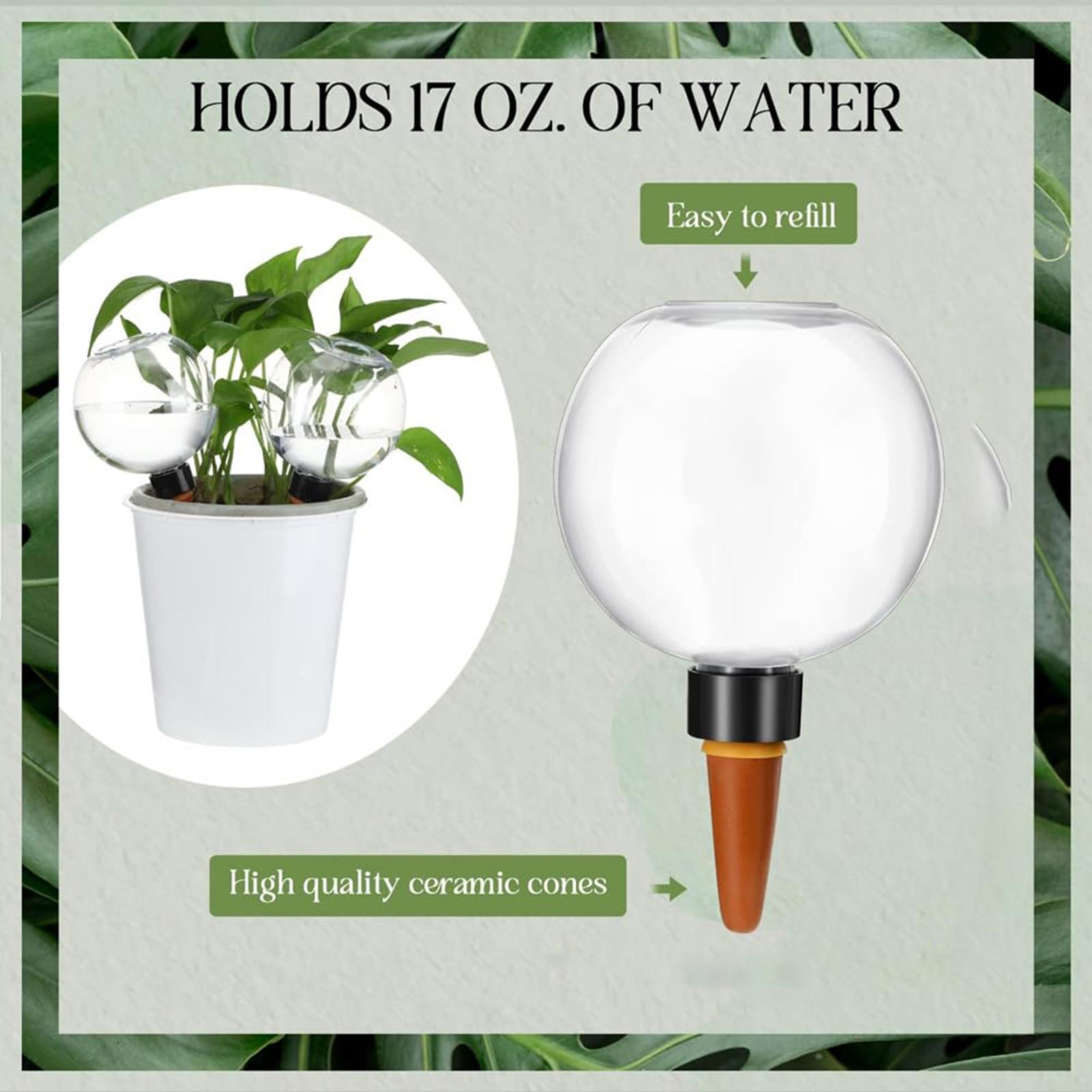 500ml Automatic Watering Globe - Self Watering Insert recension och pris