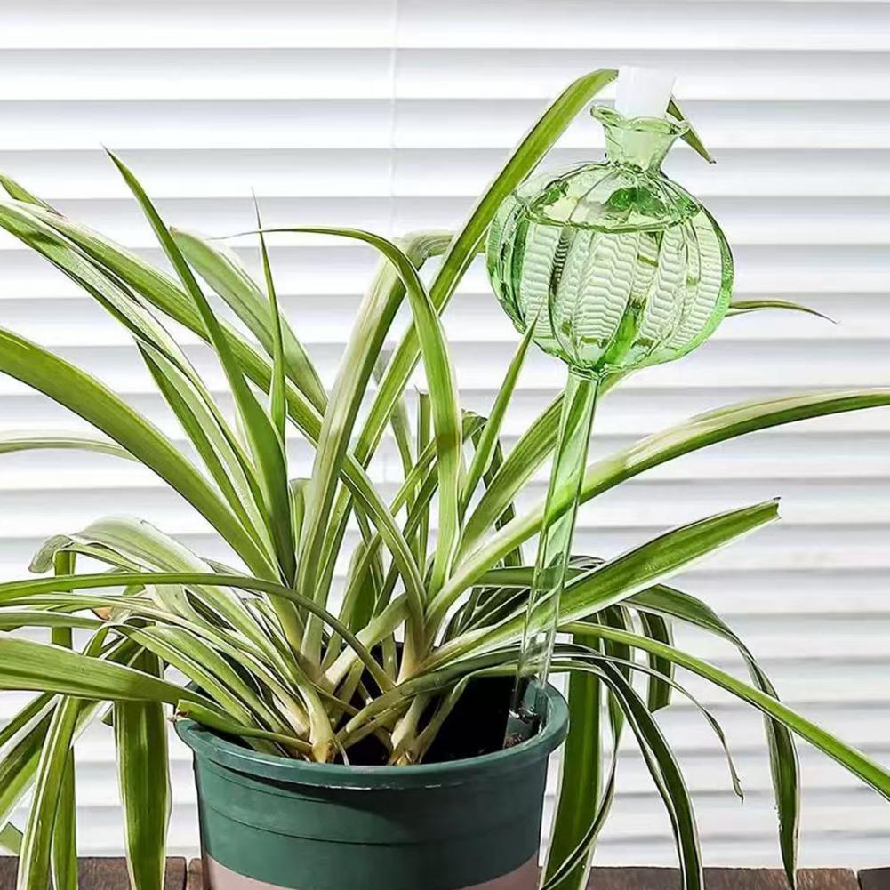 24cm Cactus Self Watering Bulb - Self Watering Insert recension och pris