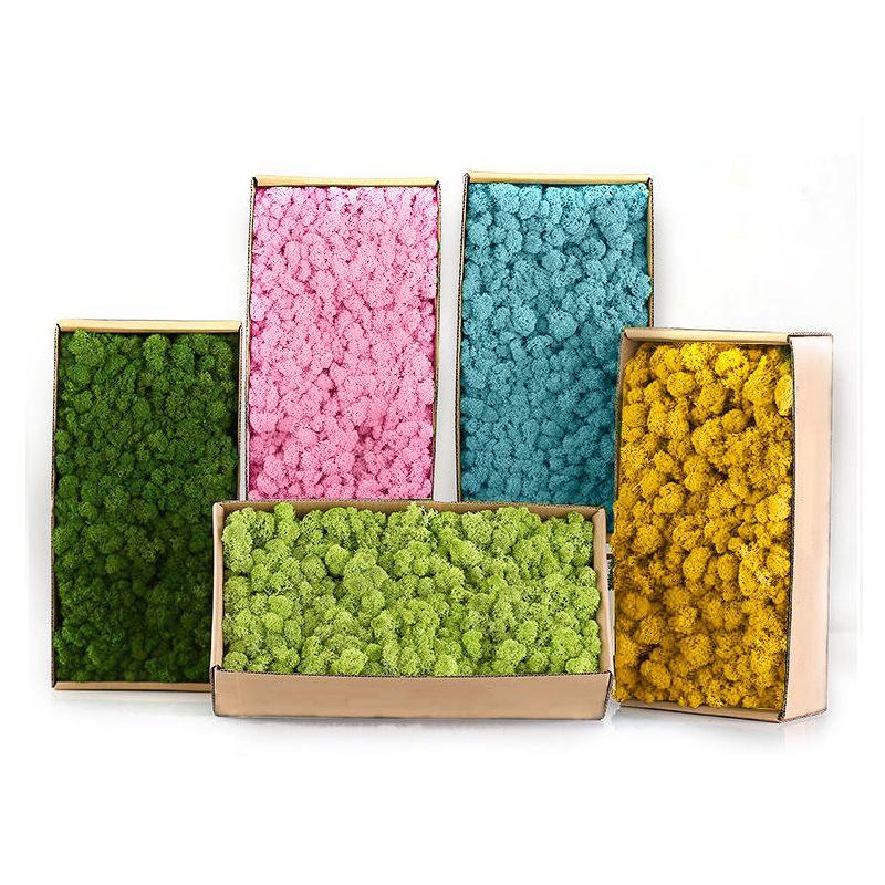 Artificial Green Plants Mini L - Sphagnum Moss Dry recension och pris