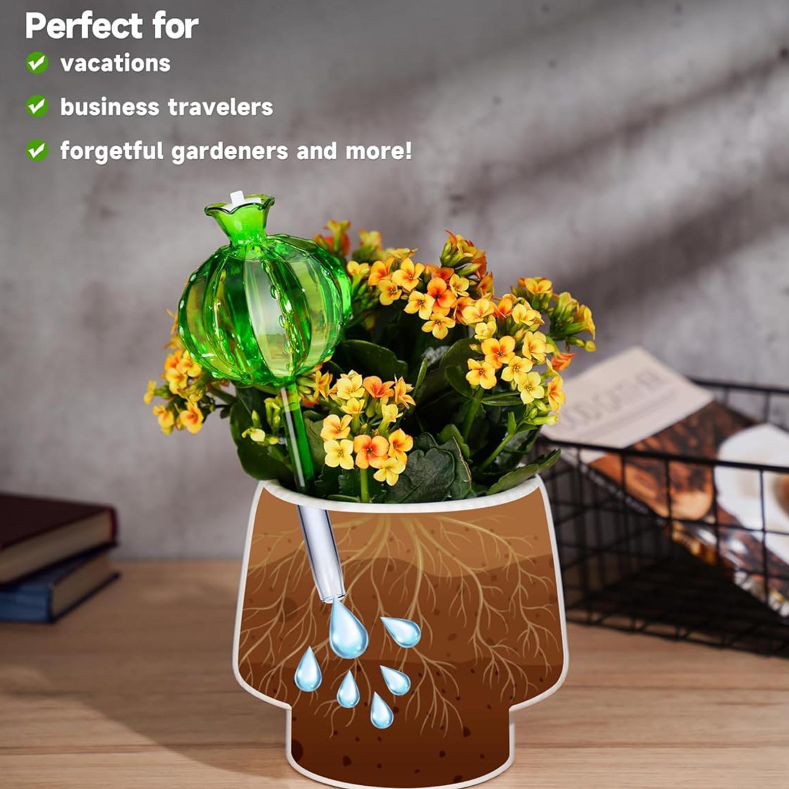 Plant Watering Stakes 3 Pieces - Self Watering Insert recension och pris