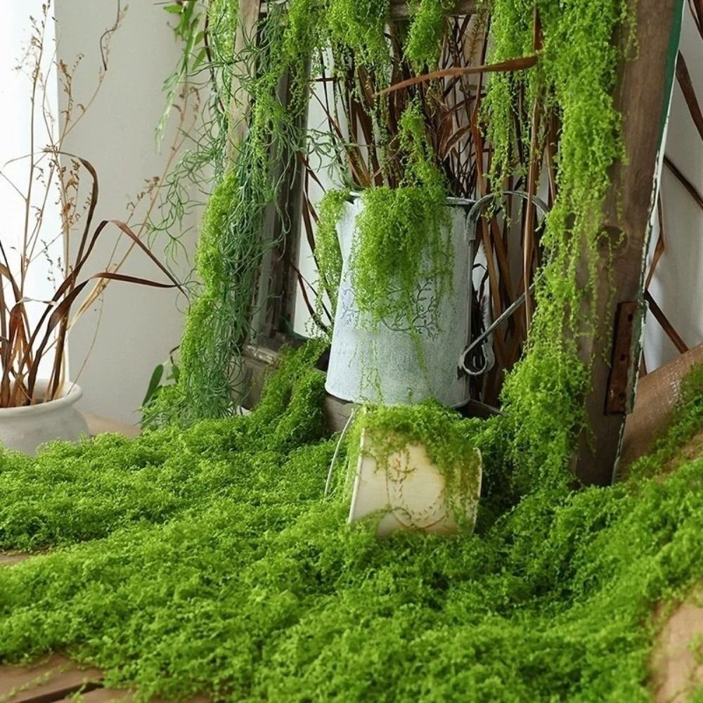 DIY Artificial Grass Rug Durab - Sphagnum Moss Dry recension och pris